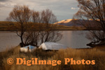 Lake McGregor 1390